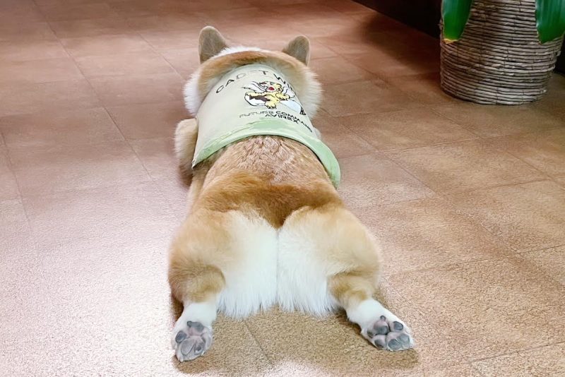 秋と言えば°˖✧◝(⁰▿⁰)◜✧˖°イメージ